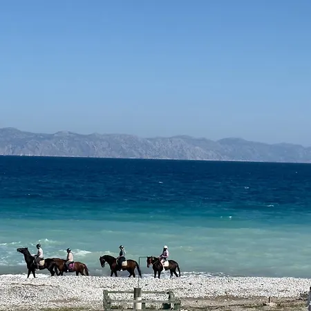 Beachfront With Panoramic Sea View 2 * יאליסוס